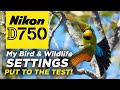 Nikon D750 | My BIRD & WILDLIFE Settings | Put to the TEST!