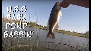 Sacramento park Pond Fishing