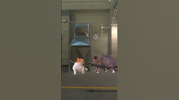 Typical situation on Nuke #cs2 #cs2memes #counterstrike #esports #cs2moments #cs2highlights