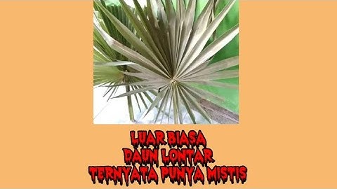 Mitos...?Daun Lontar Yang Luar Biasa@Bos Rudi@