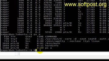 How to kill process in CentOS