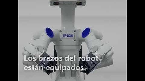 EPSON Worksense W-01