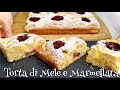 TORTA DI MELE E MARMELLATA Sofficissima 🍏🍎 APPLE  CAKE WITH CHERRY JAM