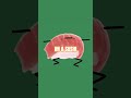 I'm a sushi #fyp#famous#viral