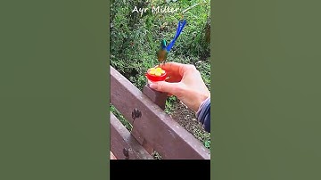 She calls RARE HUMMINGBIRD-AND IT COMES to her!  #birdfeeders #viral