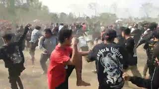 Rebellion Rose - Porak porandakan. Moshing dan pogo bukan kerusuhan.