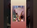 Rick Ross baby momma Tia  Kemp and Rod waves baby moms goes viral