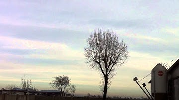 Blade mcpx v1 stretch 125mm blades full bl