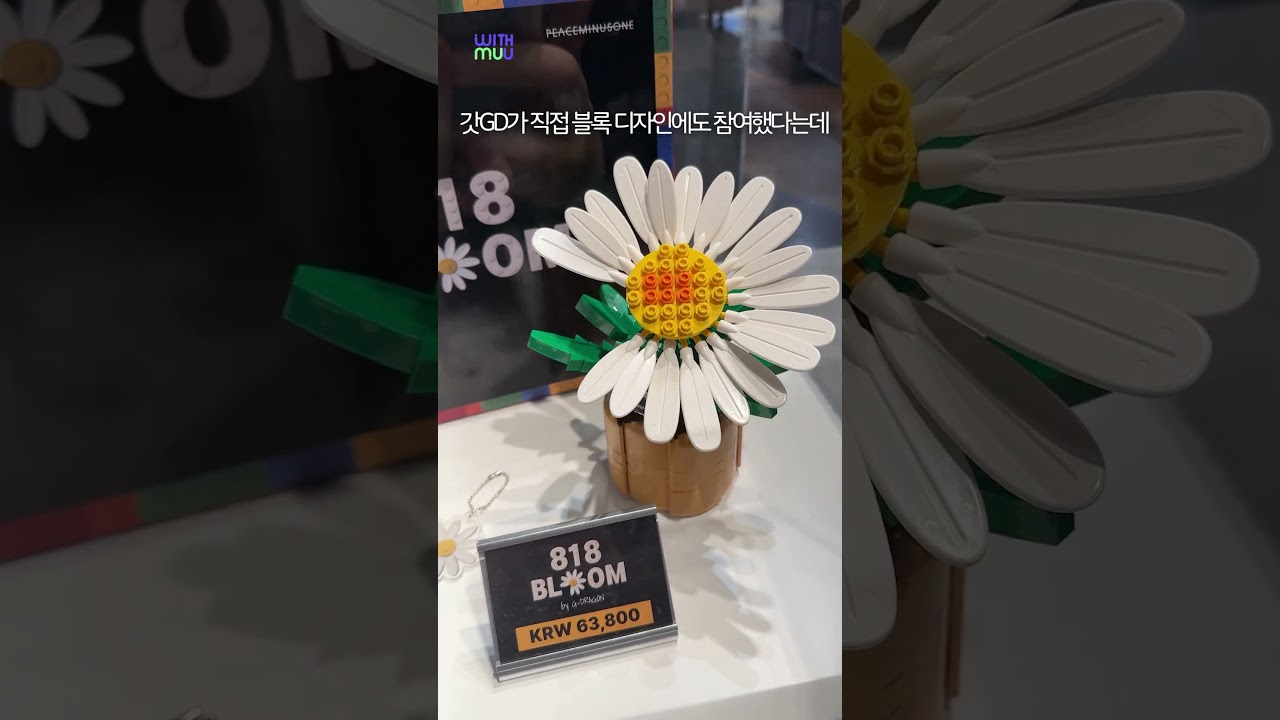 🌼PEACEMINUSONE X OXFORD [818 BLOOM by G-DRAGON] POP UP STORE VLOG🌼