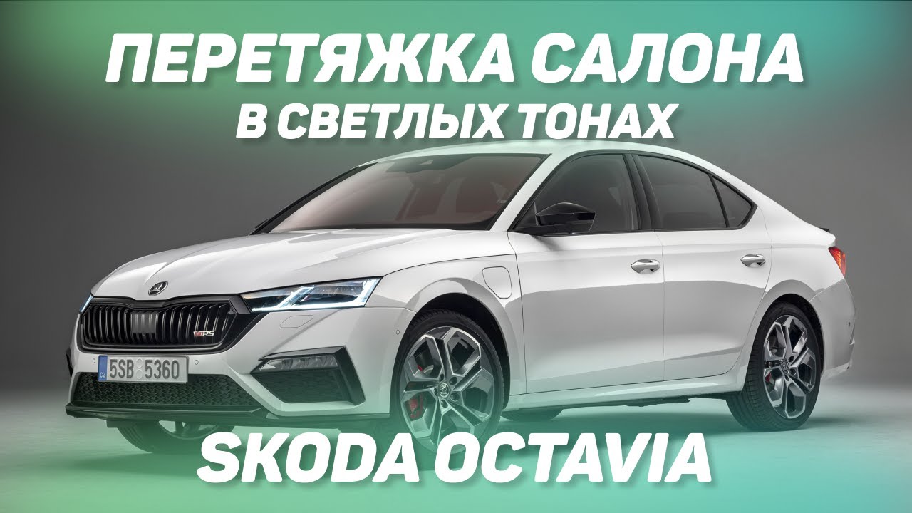 Skoda черный потолок