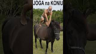 JOGA na KONIU