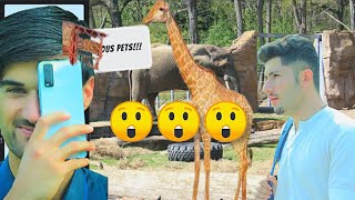 The most Amazing zoo.in the world the Best zoos you have to visit #zoo #park #peshawar #pakistan