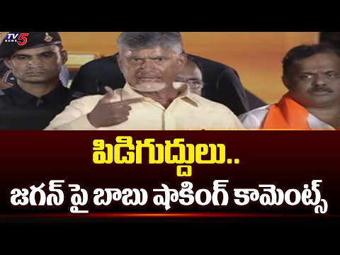 పిడిగుద్దులు.. | Chandrababu Shocking Comments On YS Cm Jagan | AP Govt | Tv5 News - TV5NEWS