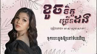 ខូចចិត្តច្រើនដង ច្រៀងដោយ មាស​ សុខសោភា (Lyrics Video)