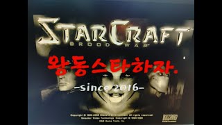 스타크래프트 25년전 동네 pc방 1짱