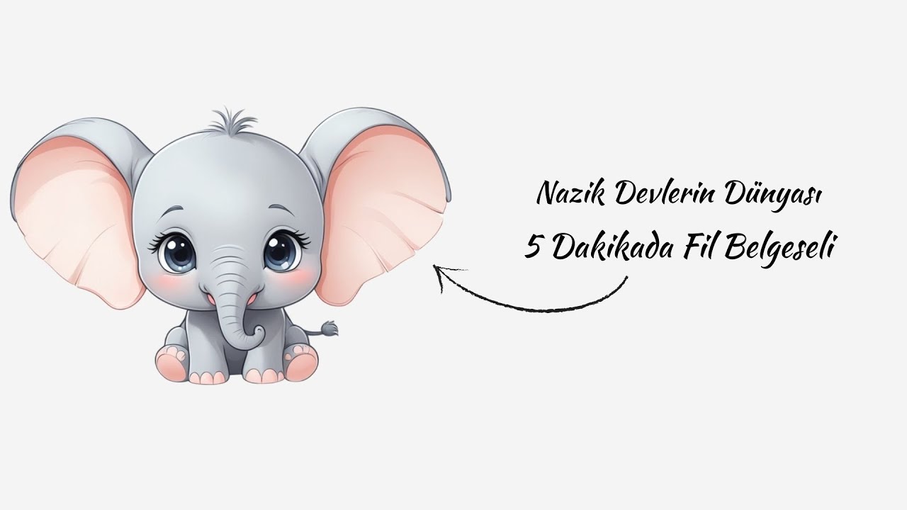 5 Dakikada Fillerin Sıradışı Dünyası | Fil Belgeseli