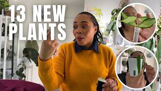 13 NEW Plants… 4 I’ve Killed Before 😬🌿 (Why Did I Do This Again?)
