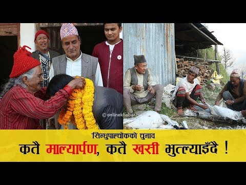 सिन्धुपाल्चोकको चुनाव: कतै माला, कतै खसी