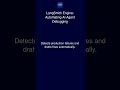 LangSmith Engine: Automating AI Agent Debugging
