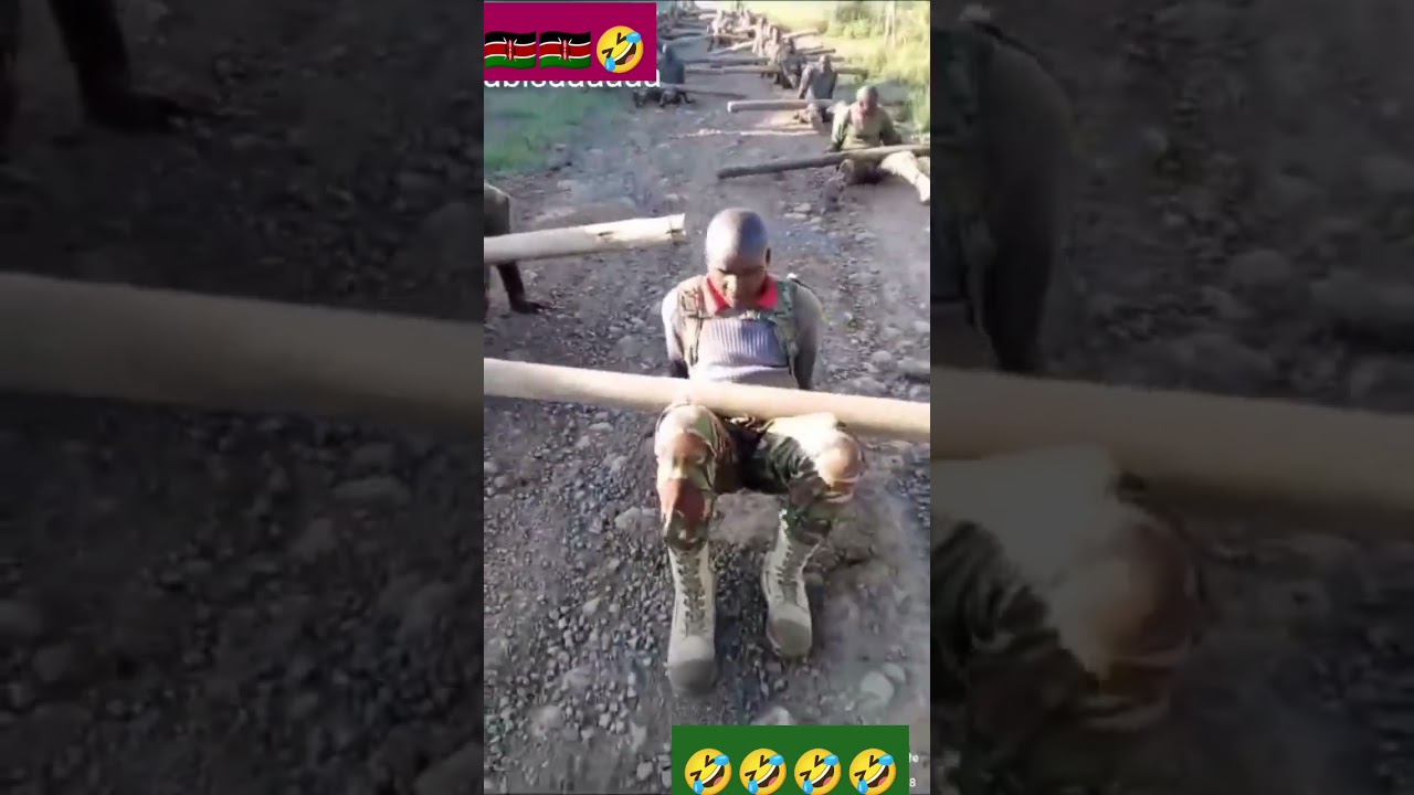 kdf training funny clip 