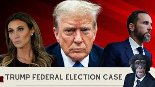 Donald Trump's Federal Election Interference Case Breakdown #trump #2024 #politics