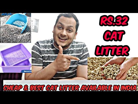 Wood Pellets As A  Cat Litter || Good Or Bad || Cheap And Best Cat Litter Available In India