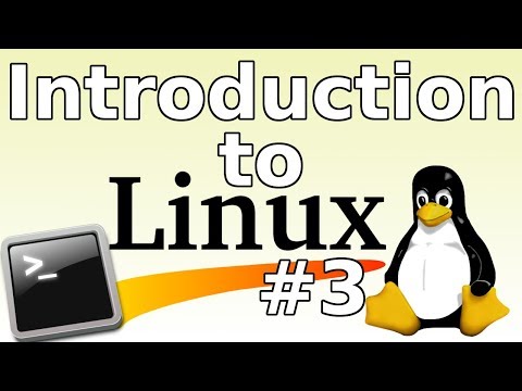 Introduction to Linux [03] BASH Training Wheels Shell