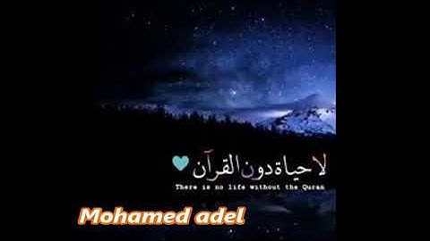 سوره الرحمن بصوت القارئ محمد عادل