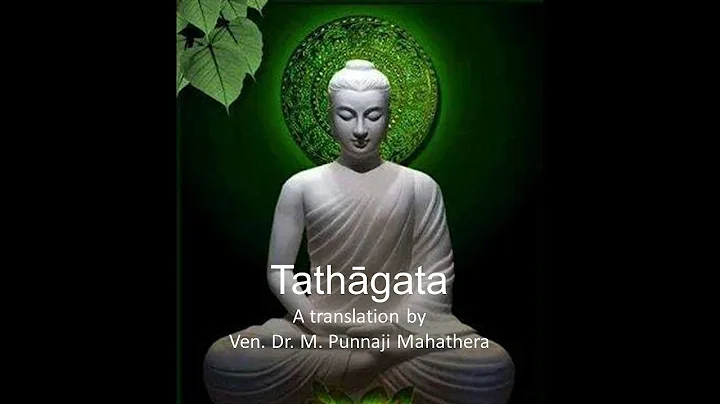 THE MEANING OF "TATHĀGATA" BY BHANTE PUNNAJI - DayDayNews