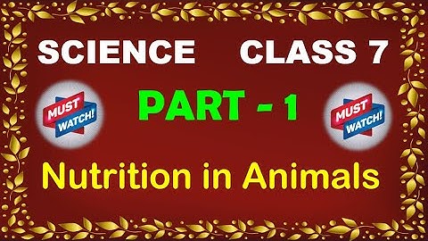 Nutrition in Animals Part 1 Class 7 Science | NCERT Science Class 7 Chapter 2 | Nutrition in Animals