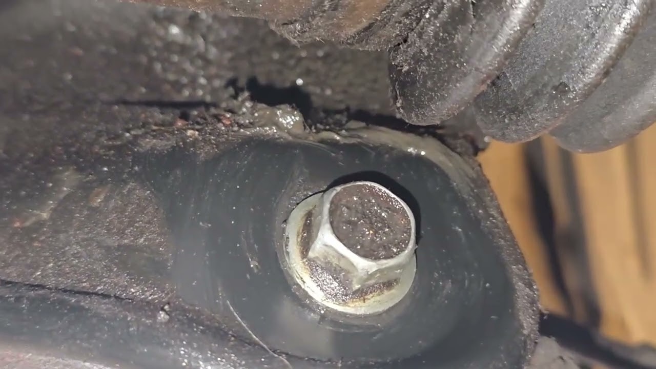 Этот орех сводил меня с ума