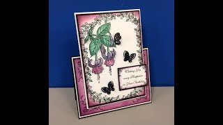 Sunday Showcase - 13/1/19