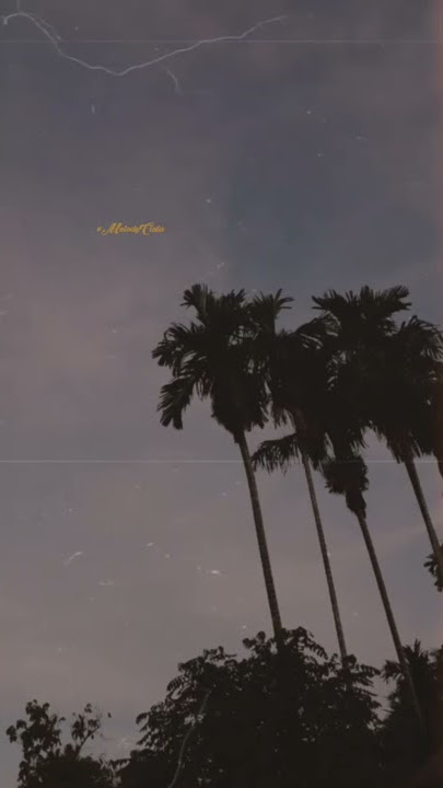 Story Whatsapp - Maafkan Atas Segala Kekuranganku