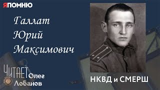 Галлат Юрий Максимович. Проект 