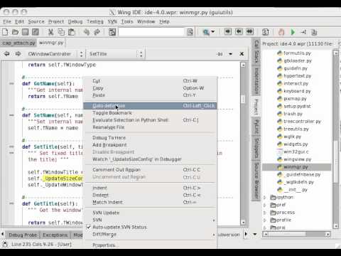 Goto and Return from Definition in Wing IDE