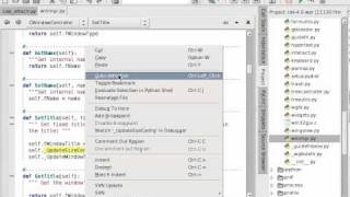 Goto and Return from Definition in Wing IDE