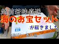 滋賀で遊ぼう！番外編　海のお宝セットをいただきます！