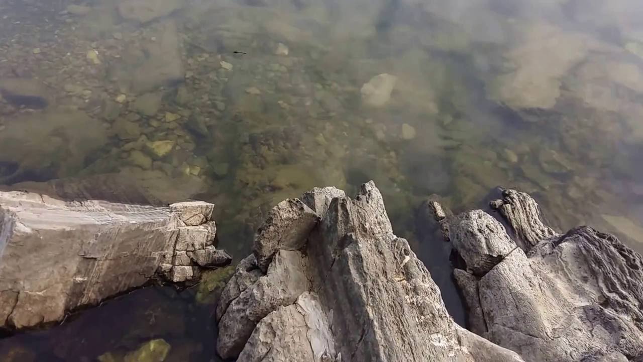 [돈카츠 소년] 영월 들골 쏘가리 포인트! 포인트 탐색에 나서 보았습니다.