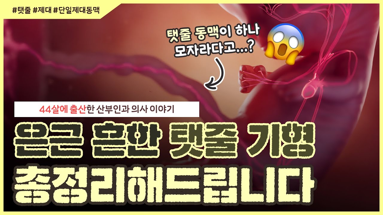 임신 중 탯줄 문제