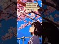 Just the sound of letting go. #sleepmusic #relaxingmusic #lofi #anxietyrelief #shorts
