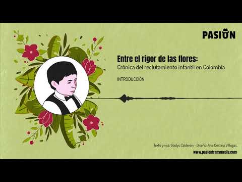 Entre el rigor de las flores: Crónica del reclutamiento infantil en Colombia - Introducción.