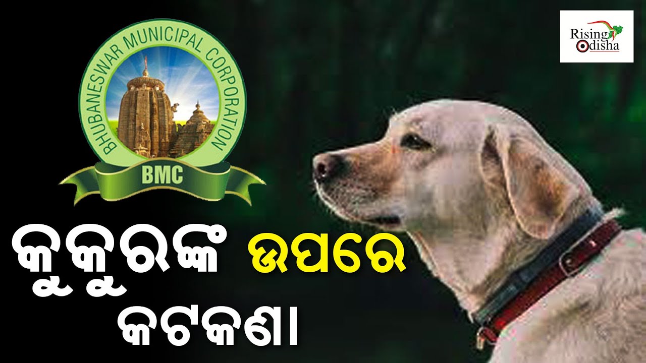 BMC Comm'r Vijay Amruta Kulange Says, Registration of Pet Dogs Soon to