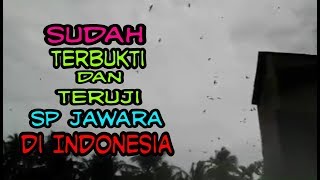 Sp jawara. suara walet respon di indonesia. sudah (teruji dan terbukti)