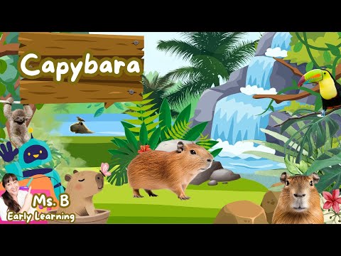 Learn Rainforest Animal Names and Sounds | Fun Toddler and ESL Learning video |