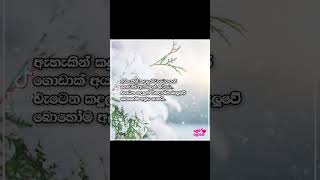 sinhala wadan photo screenshot 4