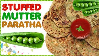 Stuffed Matar Paratha Matar Paratha Recipe At Home