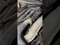 #2205, Dodge caravan, 2002, toma de agua picada no tiene termostato 