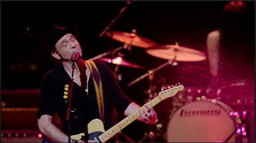 Dr. Zwig - Field of Daydreams (Official Live Concert Music Video)