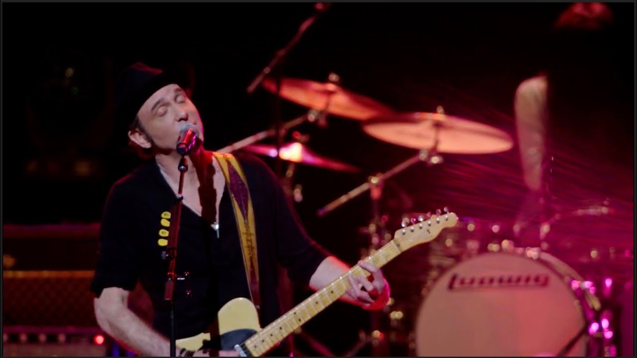 Dr. Zwig - Field of Daydreams (Official Live Concert Music Video)