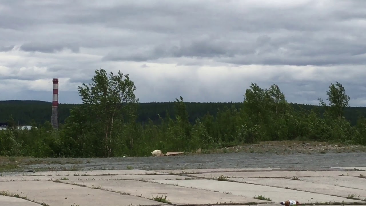 Харп. Обзор с вертолетной площадки